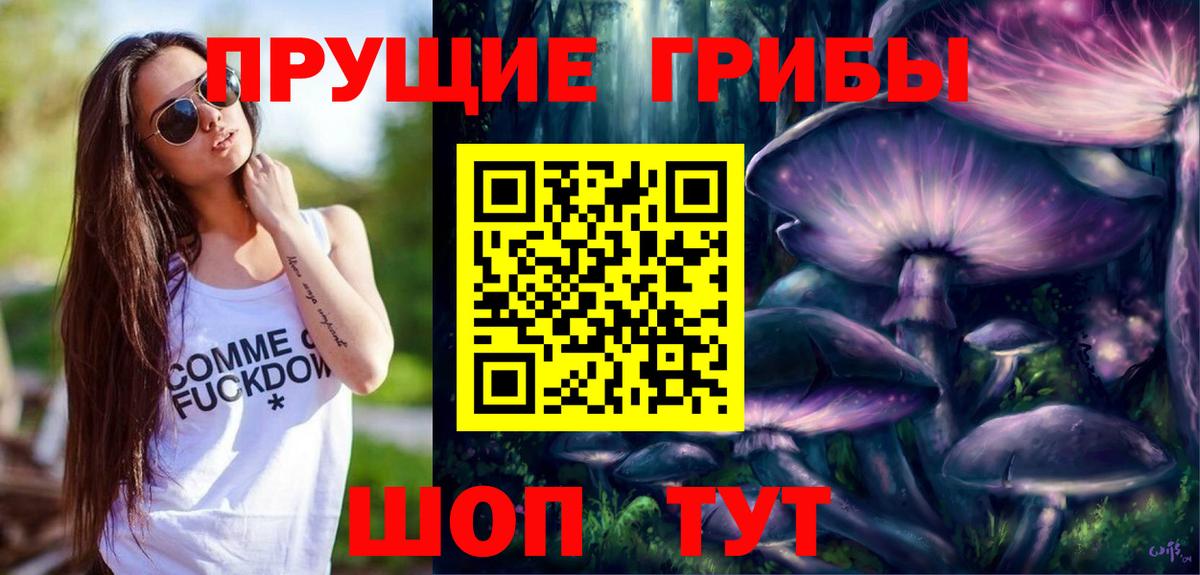 Сертолово  Псилоцибиновые грибы Psilocybe  Вход с VPN 